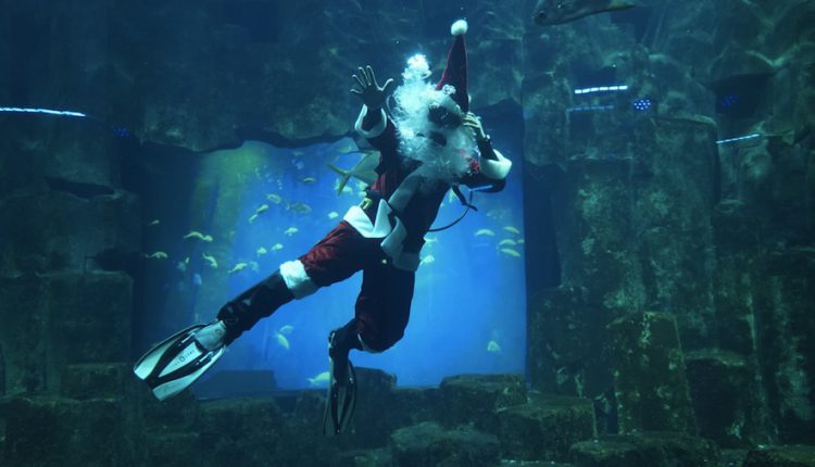 Aquarium de Paris pour Noël
